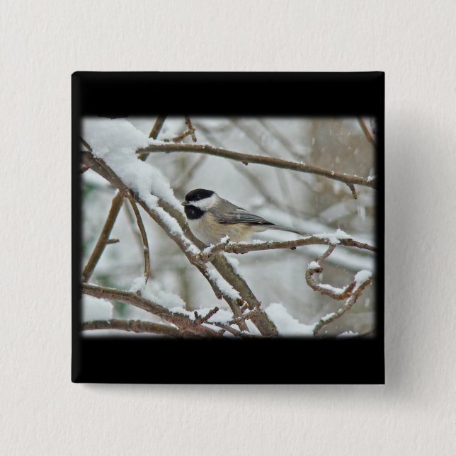 Black-Capped Chickadee in Snow Storm 15 Cm Square Badge (Front)
