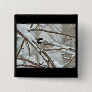 Black-Capped Chickadee in Snow Storm 15 Cm Square Badge