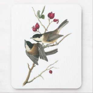 Black-capped Chickadee, John Audubon Mouse Pad