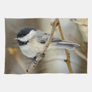 Black Capped Chickadee Kitchen Towel