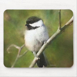 Black Capped Chickadee Mouse Pad