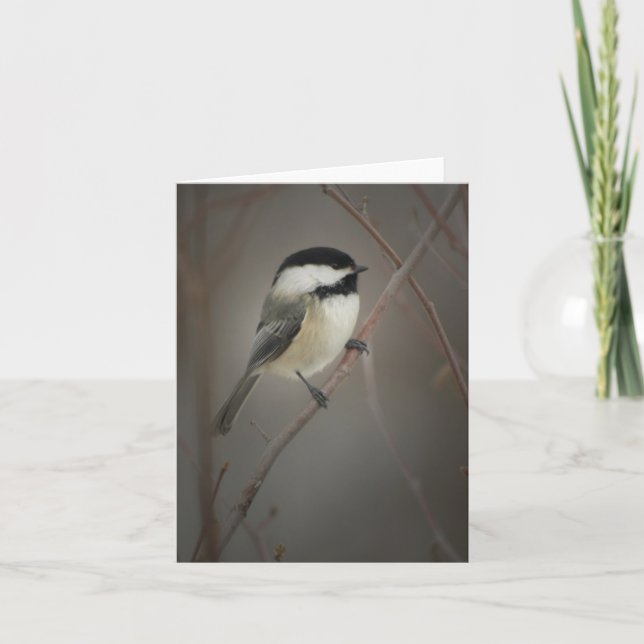Black Capped Chickadee Notecard (Front)