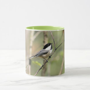 Black Capped Chickadee on a Branch Mug