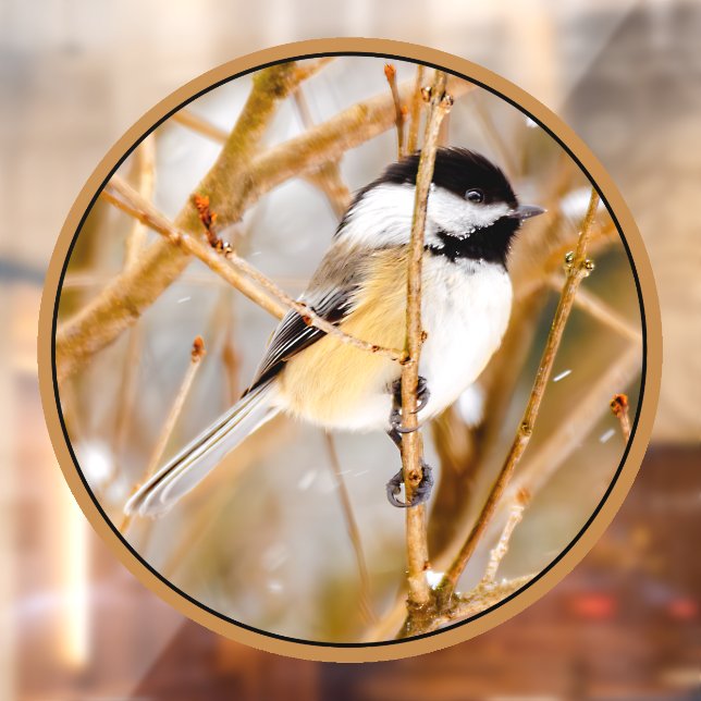 Black-Capped Chickadee - Original Photograph (Sheet 2)