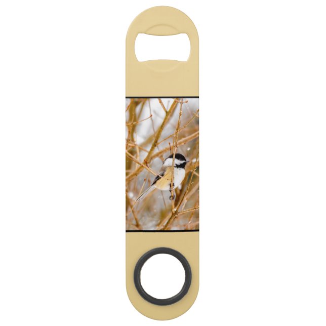 Black-Capped Chickadee - Original Photograph (Front)