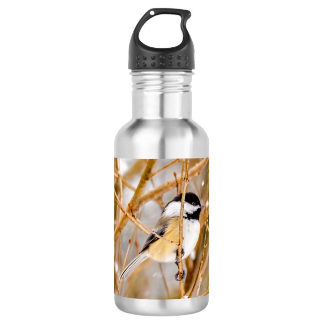Black-Capped Chickadee - Original Photograph 710 Ml Water Bottle (Front)