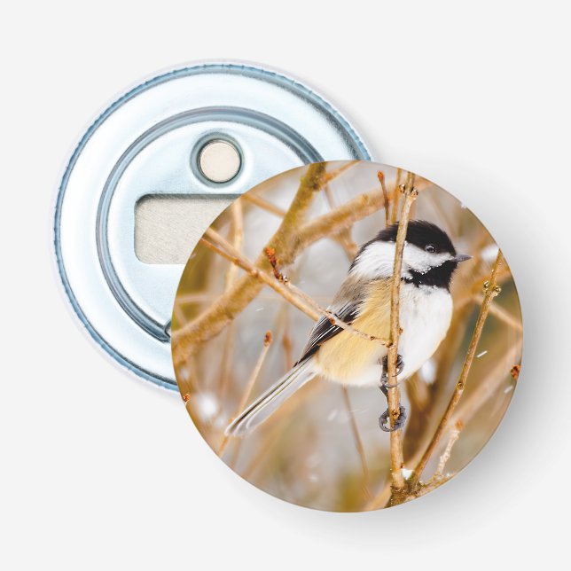 Black-Capped Chickadee - Original Photograph Bottle Opener (Front)