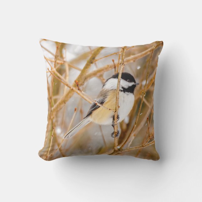 Black-Capped Chickadee - Original Photograph Cushion (Front)
