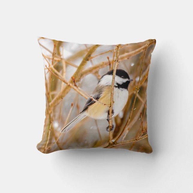 Black-Capped Chickadee - Original Photograph Cushion (Front)