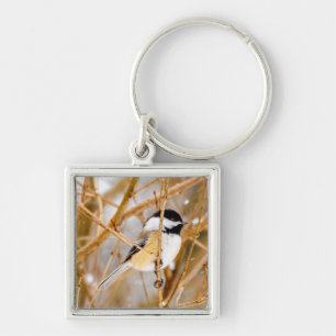 Black-Capped Chickadee - Original Photograph Key Ring