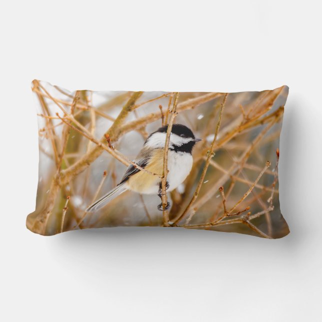 Black-Capped Chickadee - Original Photograph Lumbar Cushion (Front)