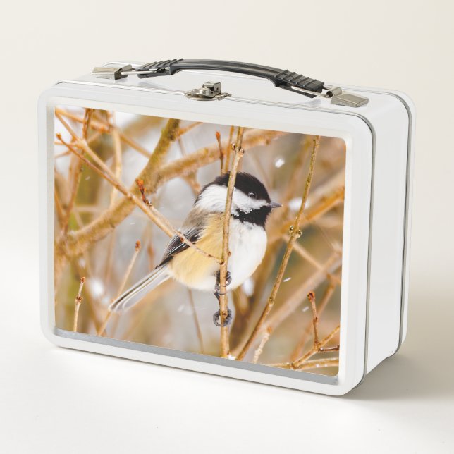 Black-Capped Chickadee - Original Photograph Metal Lunch Box (Front)
