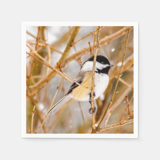 Black-Capped Chickadee - Original Photograph Napkin (Front)