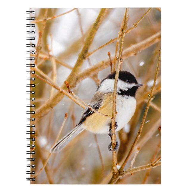 Black-Capped Chickadee - Original Photograph Notebook (Front)
