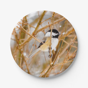 Black-Capped Chickadee - Original Photograph Paper Plate