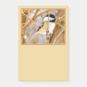 Black-Capped Chickadee - Original Photograph Post-it Notes