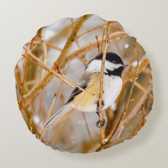 Black-Capped Chickadee - Original Photograph Round Cushion (Back)