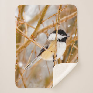 Black-Capped Chickadee - Original Photograph Sherpa Blanket
