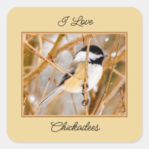 Black-Capped Chickadee - Original Photograph Square Sticker