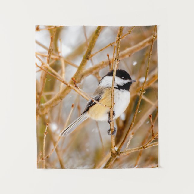 Black-Capped Chickadee - Original Photograph Tapestry (Front)