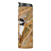 Black-Capped Chickadee - Original Photograph
