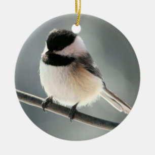Black-capped Chickadee Ornament