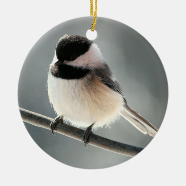 Black-capped Chickadee Ornament (Front)