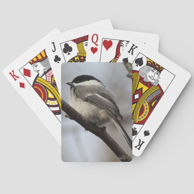Black Capped Chickadee Playing Cards (Back)