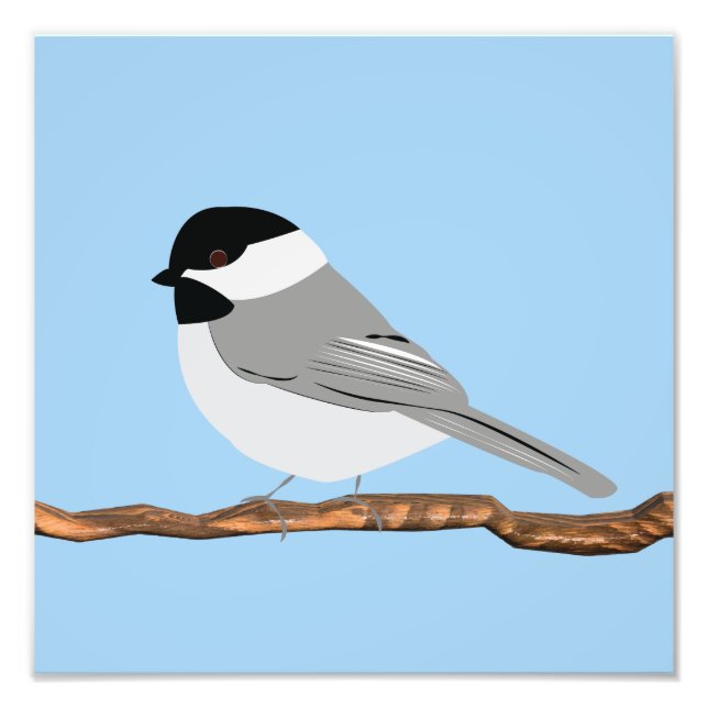 Black-Capped Chickadee print (Front)