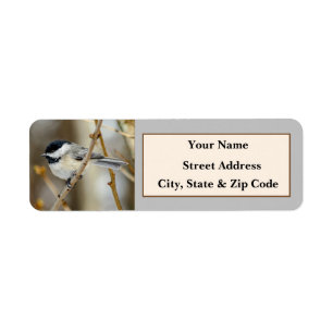 Black Capped Chickadee Return Address Labels