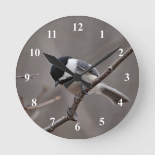 Black Capped Chickadee Round Clock