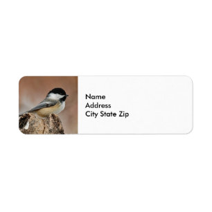 Black Capped Chickadee Snow Photo Return Address Label