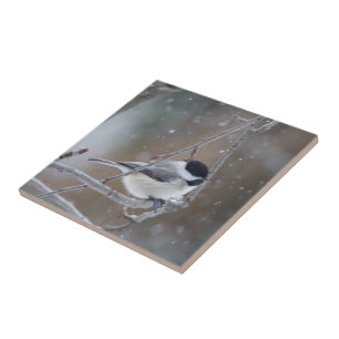 Black-capped Chickadee - Songbird Ceramic Tile