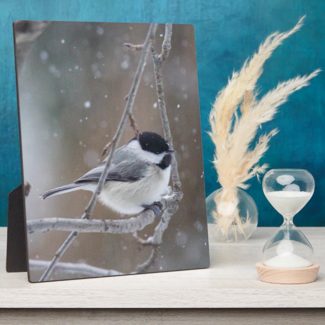 Black-capped Chickadee - Songbird Plaque (Side)