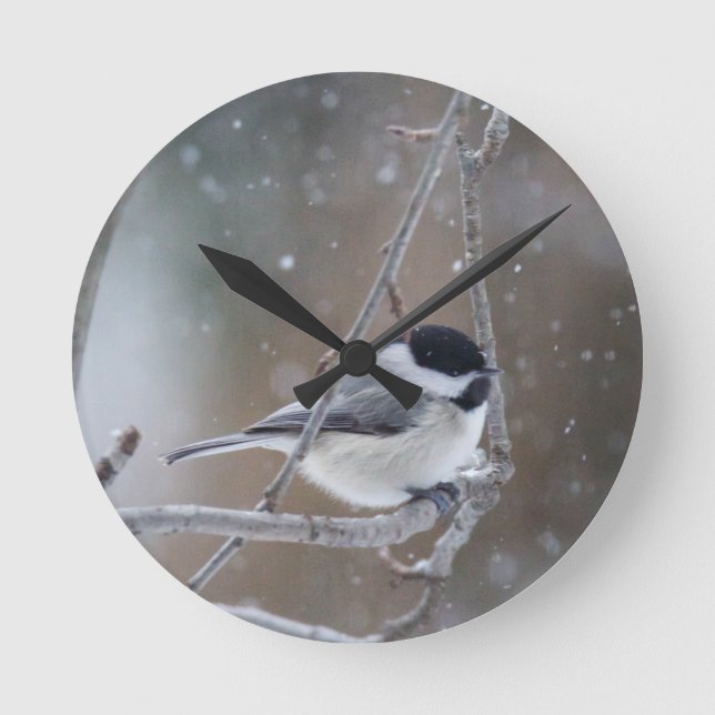 Black-capped Chickadee - Songbird Round Clock (Front)