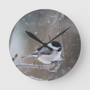 Black-capped Chickadee - Songbird Round Clock