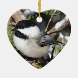Black-capped Cickadee Ceramic Tree Decoration