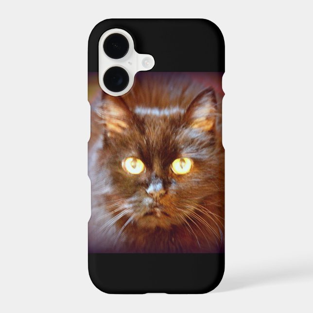 black cat (Back)