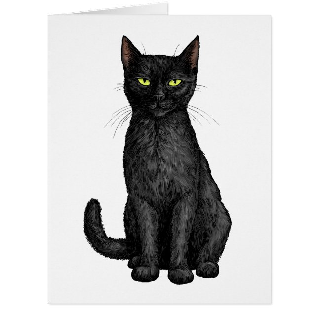 Black cat (Front)