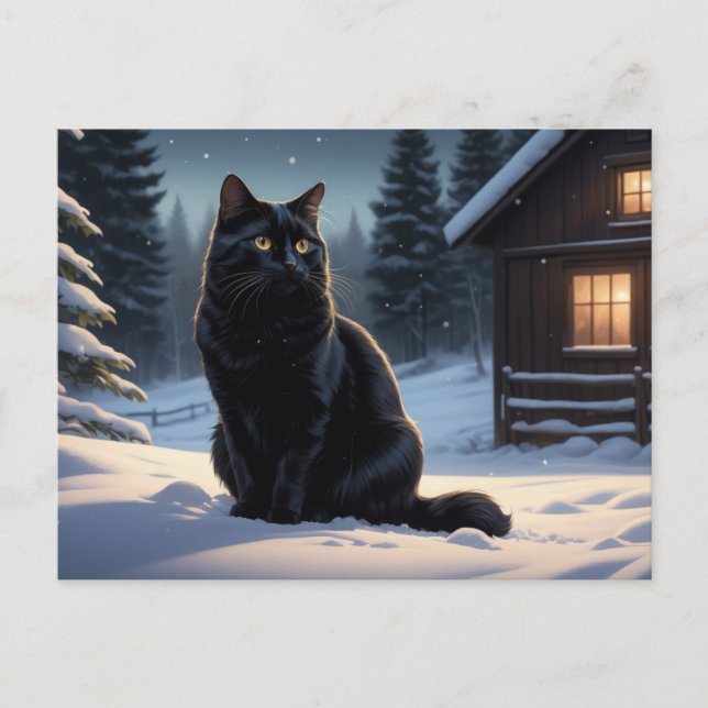 Black Cat 207 Series Postcard (Front)