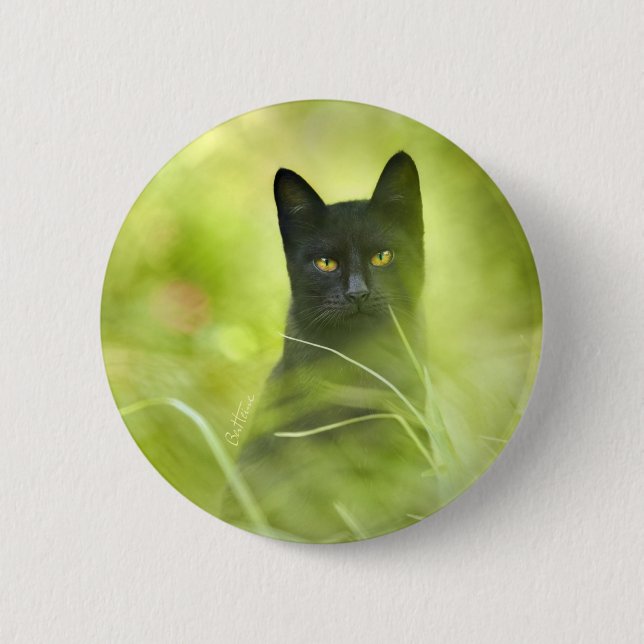 Black Cat 6 Cm Round Badge (Front)