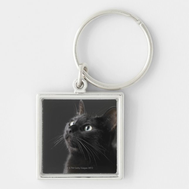 Black cat against black background, close-up key ring (Front)