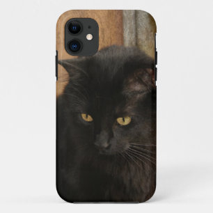 Black Cat, Amber Eyes, Earth Tones Textured Back iPhone 11 Case