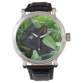 Black Cat and Foliage Watch