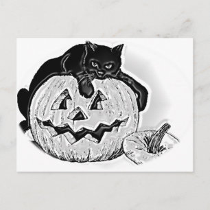 Black Cat and Spooky Pumpkin Halloween Postcard