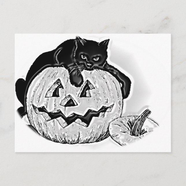 Black Cat and Spooky Pumpkin Halloween Postcard (Front)