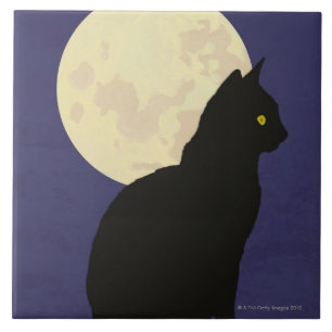 Black Cat and the Moon Ceramic Tile