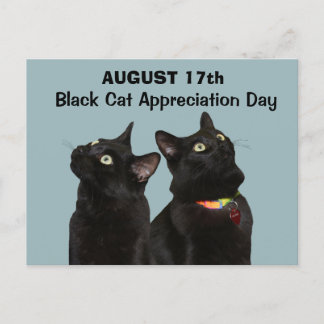 Black Cat Appreciation Day Postcard