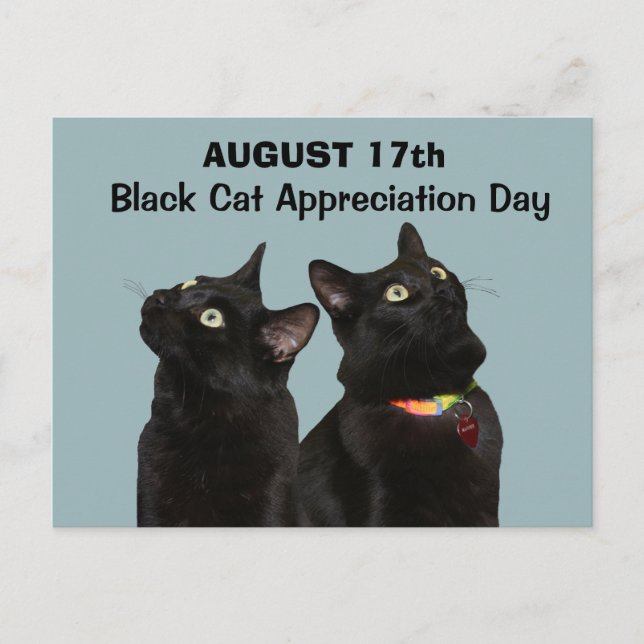 Black Cat Appreciation Day Postcard (Front)