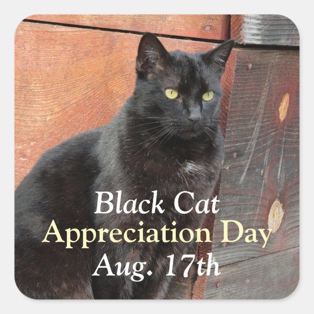Black Cat Appreciation Stickers (Front)